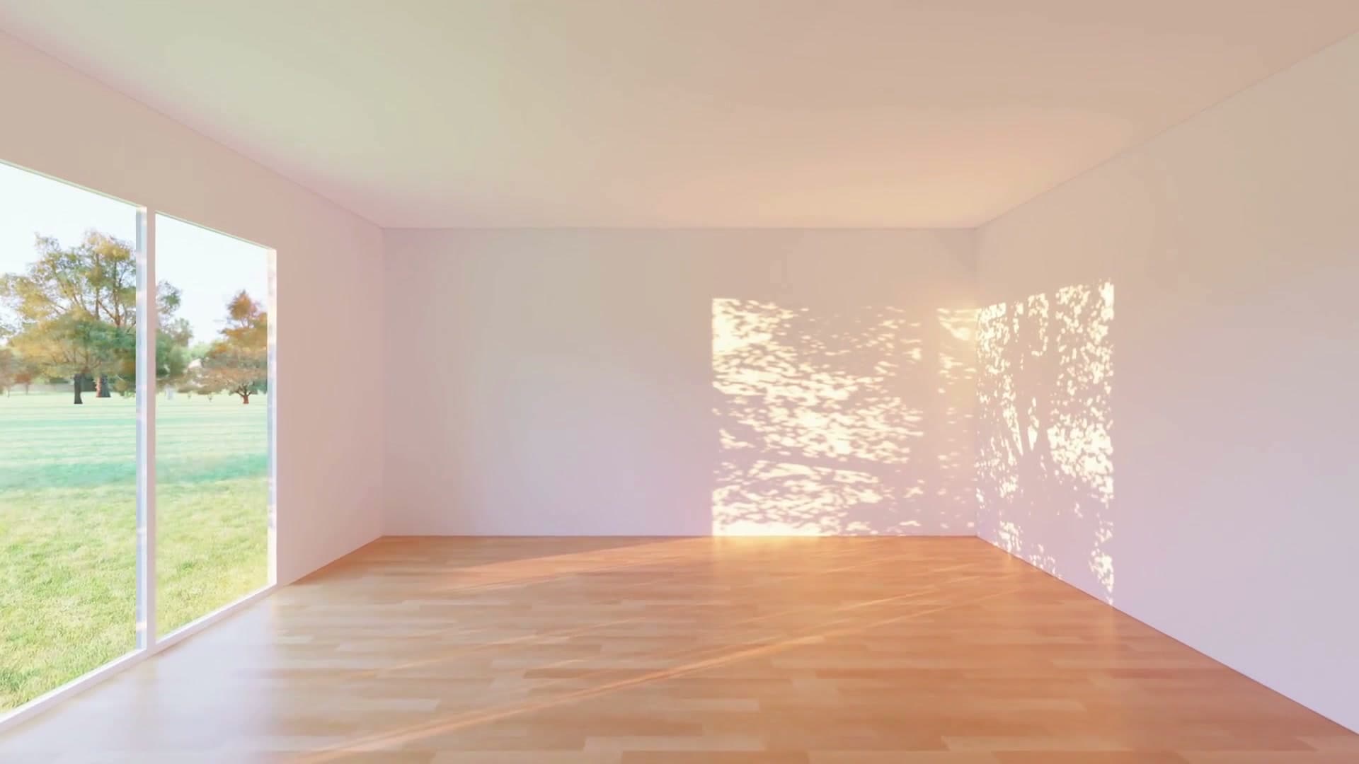 Sunlit hardwood floor with natural tree shadows